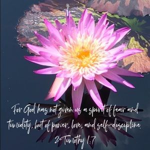 Meet your Posher, Gleglenda